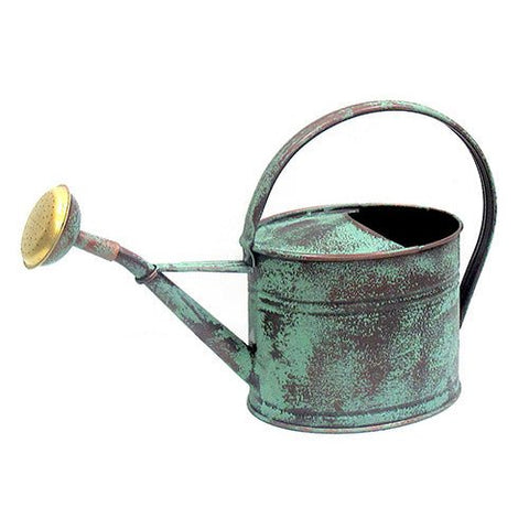 Arrosoir galvanisé 1,75L Vert vieilli - La Quincaillerie Remoise