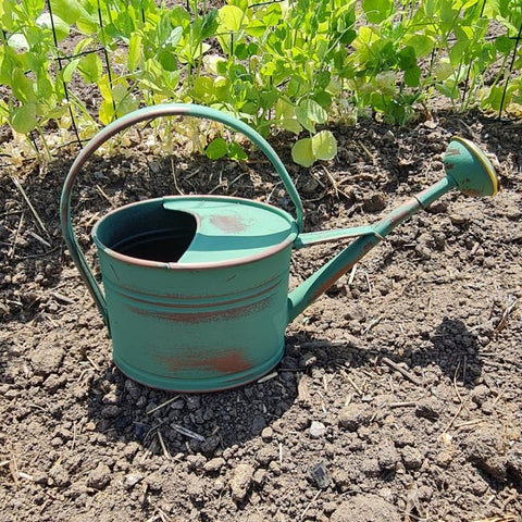 Arrosoir galvanisé 1,75L Vert vieilli - La Quincaillerie Remoise