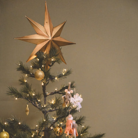 Etoile du Berger XL Boncoeurs - La Quincaillerie Remoise