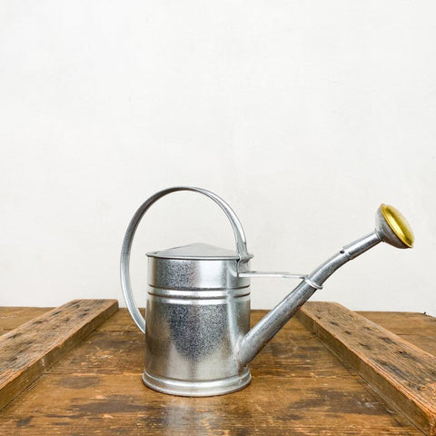 Petit arrosoir en acier galvanisé 1L - La Quincaillerie Remoise