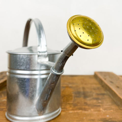 Petit arrosoir en acier galvanisé 1L - La Quincaillerie Remoise