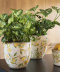 Pot de fleurs Céramique Citron 13x11 - La Quincaillerie Remoise