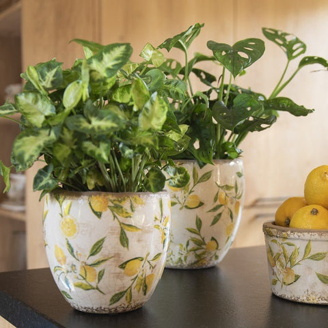 Pot de fleurs Céramique Citron 13x11 - La Quincaillerie Remoise