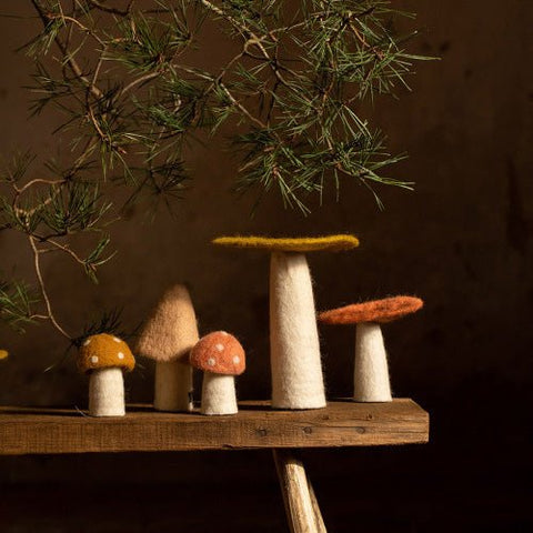 Champignon Taille L - La Quincaillerie Remoise