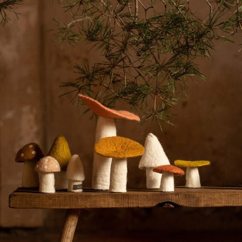 Champignon Taille L - La Quincaillerie Remoise