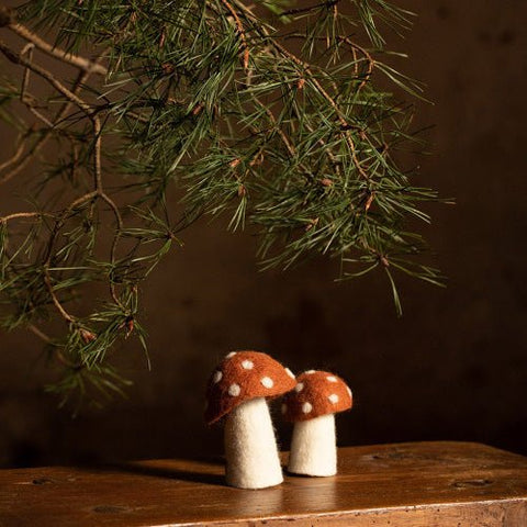 Champignons Dotty Taille L - La Quincaillerie Remoise